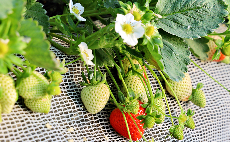 中泓能源集團(tuán)